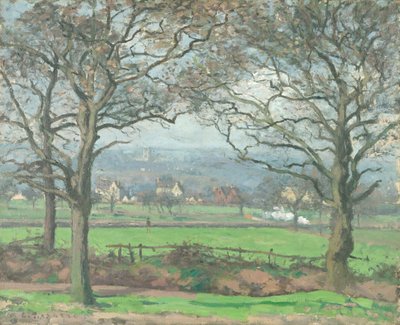 Near Sydenham Hill by Camille Jacob Pissarro